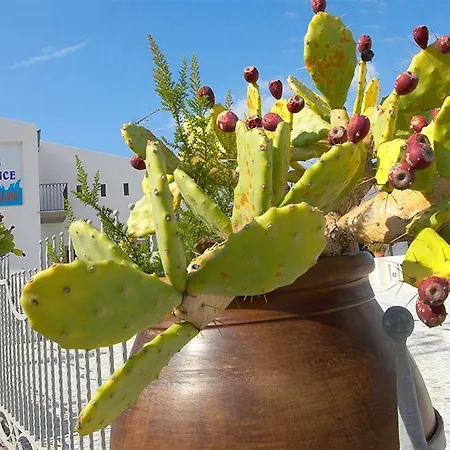 Acquacalda